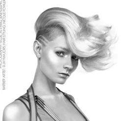 BaBylissPRO 4Artists Haartrockner Stellato Digital