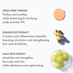 Fekkai Apple Cider Triple Cleanse Conditioner 250 ml