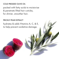 Fekkai Brilliant Gloss Glass Hair Anti-frizz Serum 100 ml