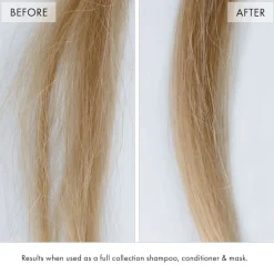 Fekkai Super Strength Protein Power Bond Shampoo 250 ml