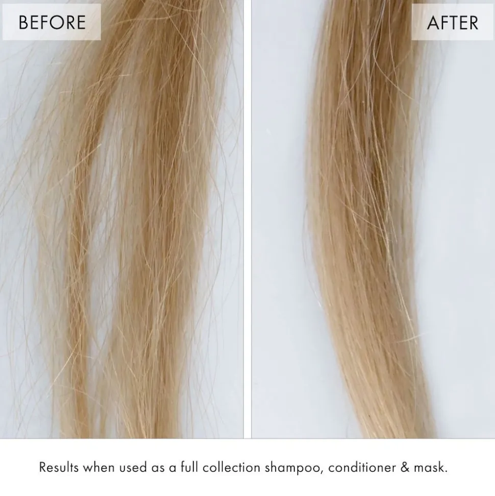 Fekkai Super Strength Protein Power Bond Shampoo 250 ml