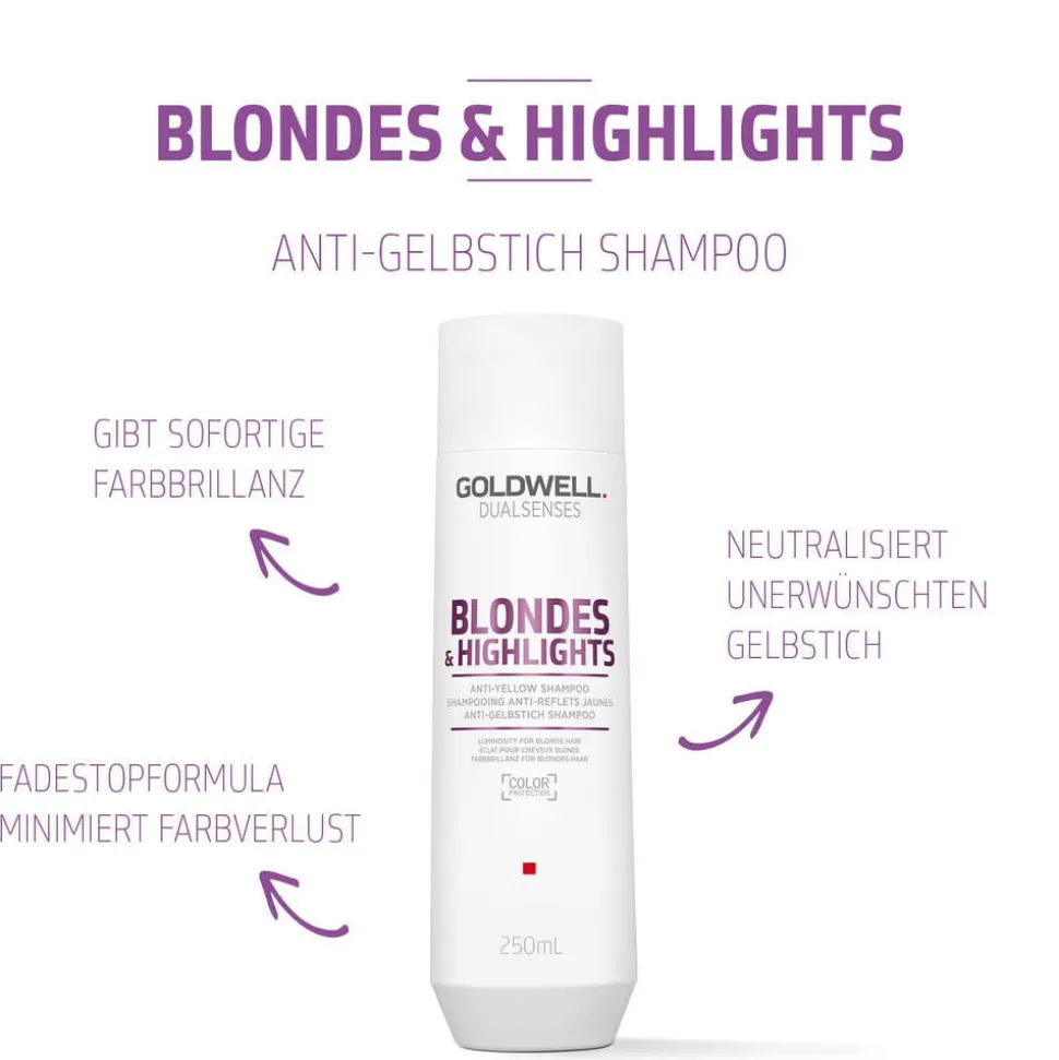 Goldwell Dualsenses Blondes & Highlights Anti-Yellow Shampoo 250 ml