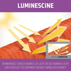 Goldwell Dualsenses Blondes & Highlights Anti-Yellow Shampoo 250 ml