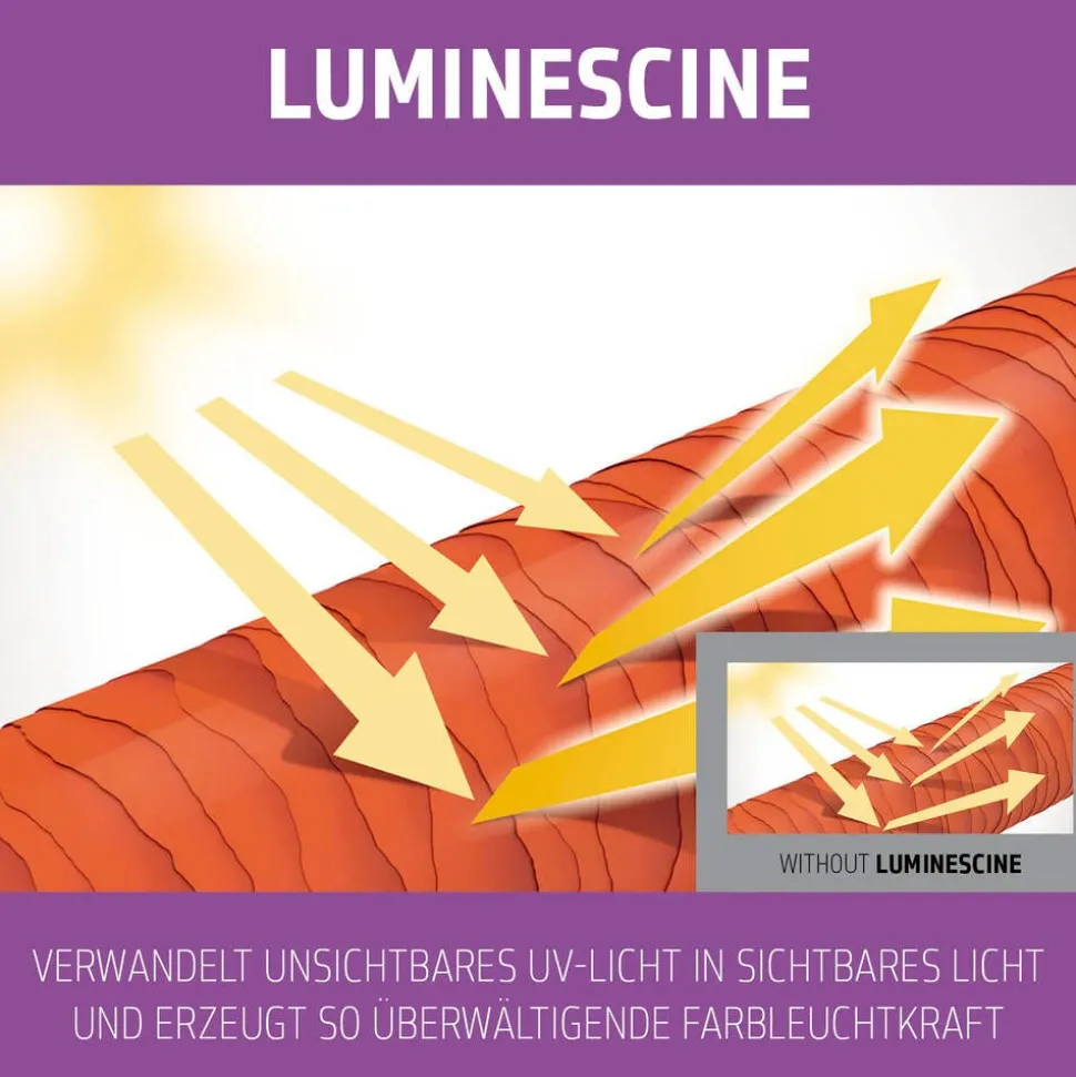 Goldwell Dualsenses Blondes & Highlights Anti-Yellow Shampoo 250 ml