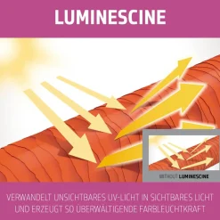 Goldwell Dualsenses Color Brilliance Shampoo 250 ml