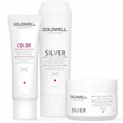 Goldwell Dualsenses Silver 60 Sek Pflegekur 200 ml