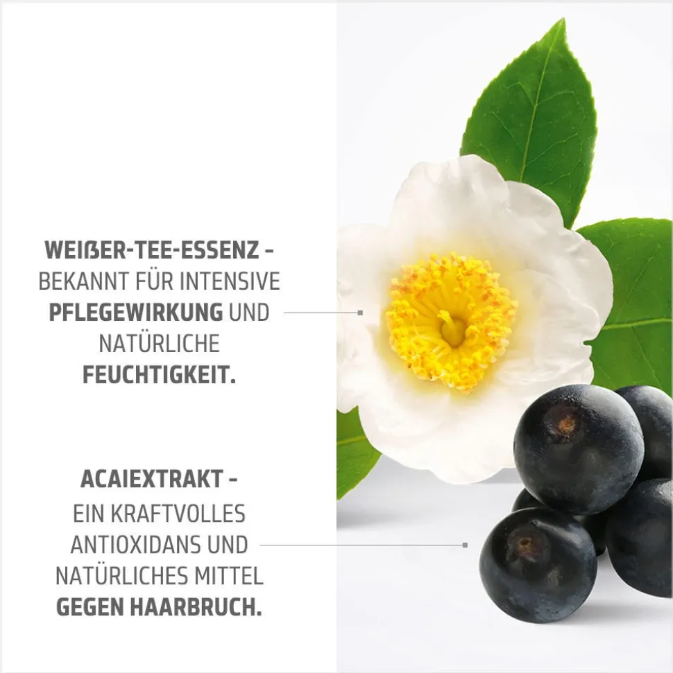 Goldwell Topchic Zero Haarfarbe 8SB hell silberblond 60 ml