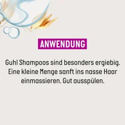 Guhl Panthenol + Reparatur Mildes Shampoo 250 ml