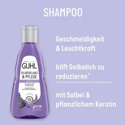 Guhl Silberglanz & Pflege Shampoo 250 ml