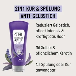 Guhl Silberglanz & Pflege 2 in 1 Anti-Gelbstich Kur 200 ml