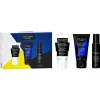 HAIR RITUEL by SISLEY Color Care & Shine Set