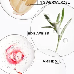 Kérastase Genesis Bain Hydra-Fortifant Refill Set