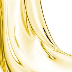 Leonor Greyl L'Huile de Leonor Greyl 95 ml