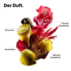 L'Oréal Professionnel Paris Serie Expert Vitamino Color Trio Holiday Set