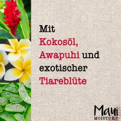 Maui Moisture Shine Amplifying + AWAPUHI Shampoo 385 ml