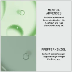 Nioxin Dermabrasion Scalp Renew Treatment 75 ml