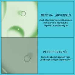 Nioxin Scalp + Hair System 3 Conditioner 300 ml