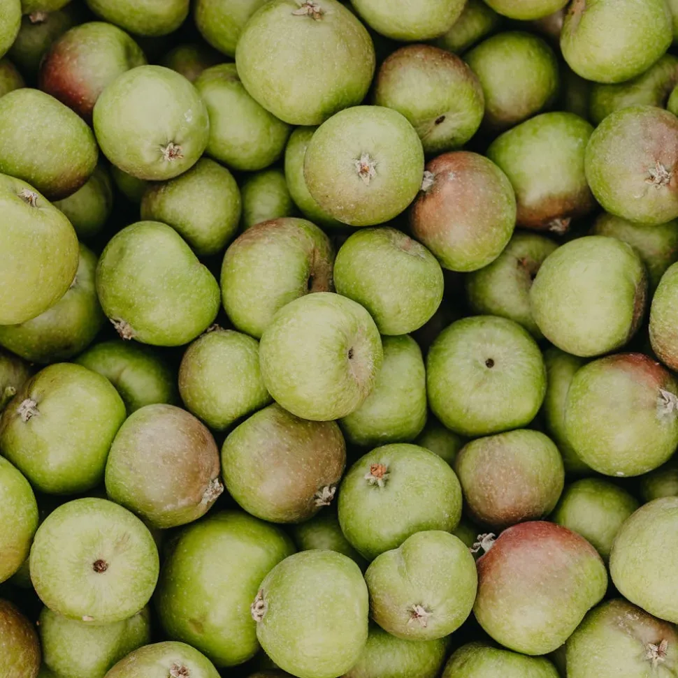 Rausch Anti-Pollution-Shampoo mit Schweizer Apfel 200 ml