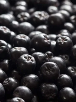 Rausch Dry Shampoo Fresh 150 ml