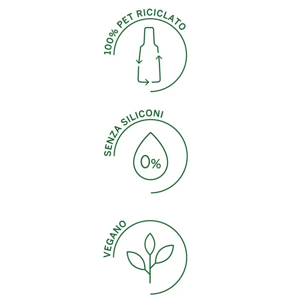 Rausch Farbschutz-Shampoo mit Wildrose 200 ml