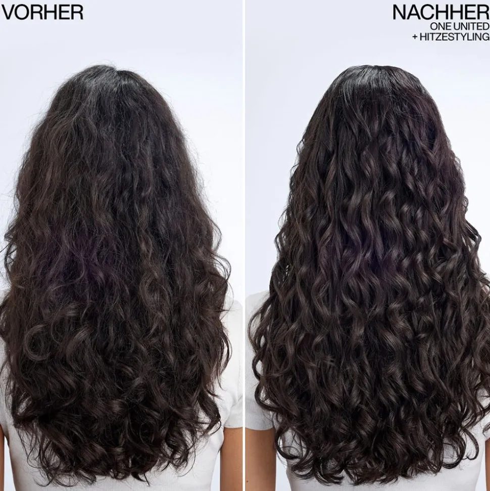 Redken Frizz Dismiss Set