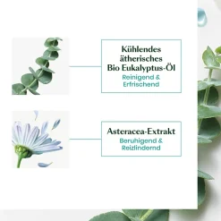 Rene Furterer Astera Head Spa Beruhigendes Konzentrat 50 ml