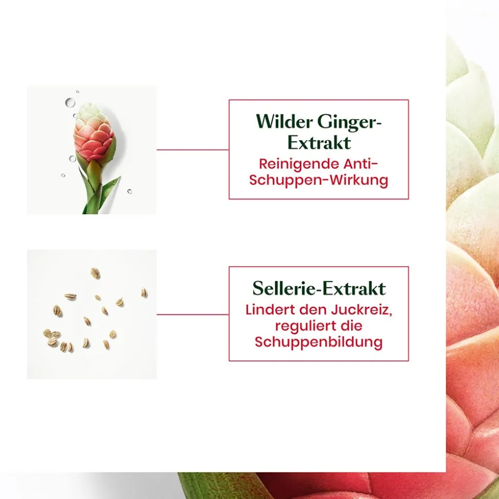 Rene Furterer NEOPUR Anti-Schuppen Shampoo Trockene Schuppen 150 ml