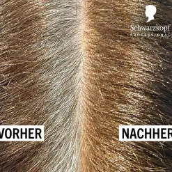 Schwarzkopf Igora Color10 3-0 Dunkelbraun 60 ml