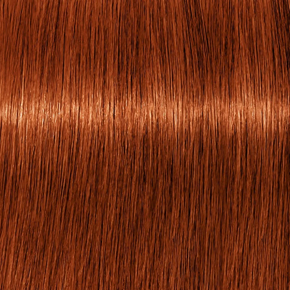 Schwarzkopf Igora Royal 6-77 Dunkelblond Kupfer Extra