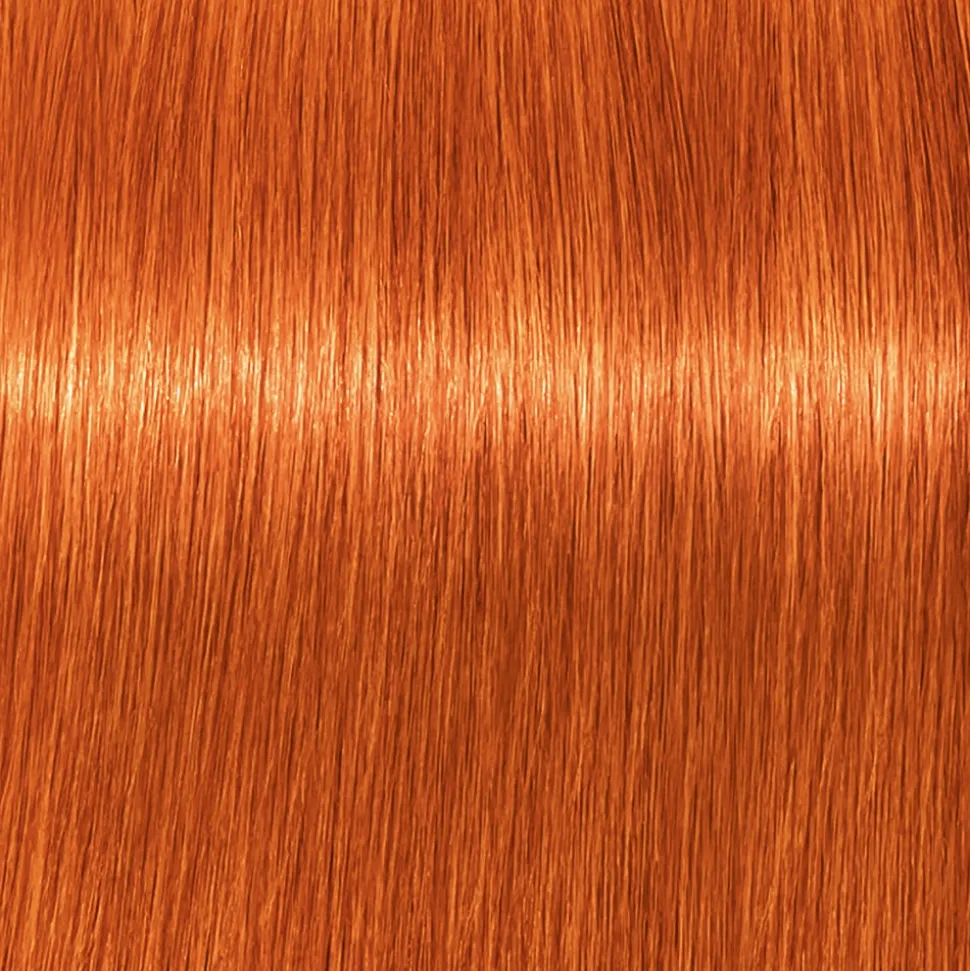 Schwarzkopf Igora Royal 8-77 Hellblond Kufper Extra