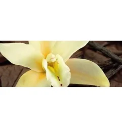 Sebastian Cellophanes Vanilla Blond 300 ml