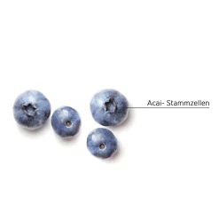 System Professional i2 Inessence Haarpflege Conditioner 200 ml