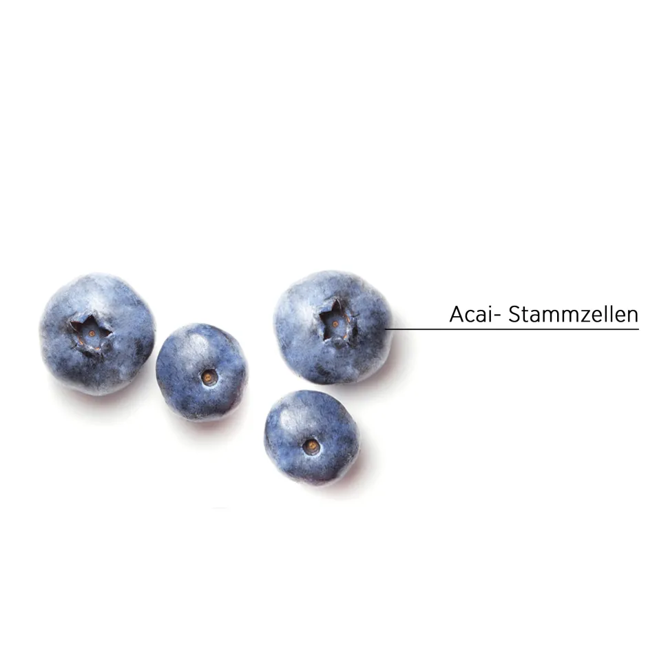 System Professional i2 Inessence Haarpflege Conditioner 200 ml