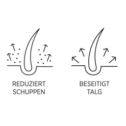 System Professional M1D System Man Anti-Schuppen Shampoo 250 ml