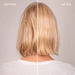 Virtue Recovery Discovery Kit