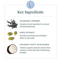 Virtue Refresh Purifying Shampoo 120 ml